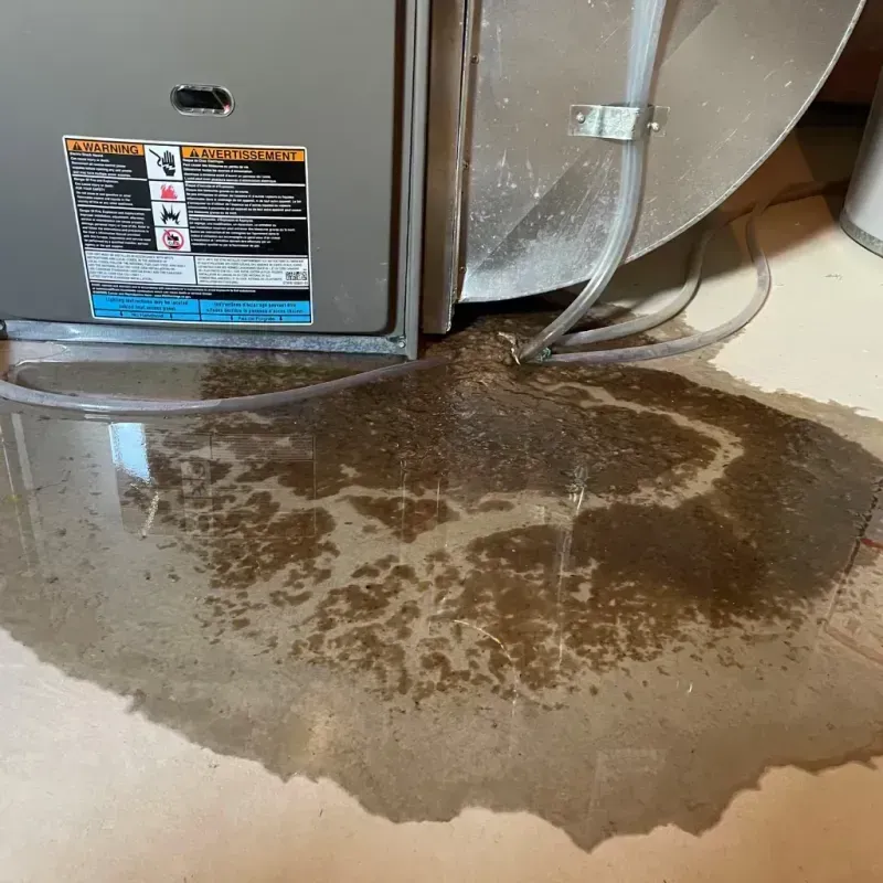 Appliance Leak Cleanup in South Boston, VA